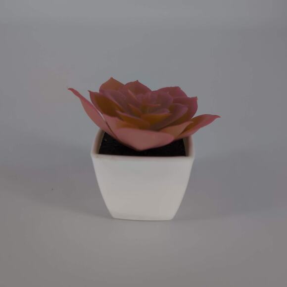 Mini Fake Faux Artificial Pink Succulent Potted Plant in Plastic White Pot - GUC - Picture 6 of 10